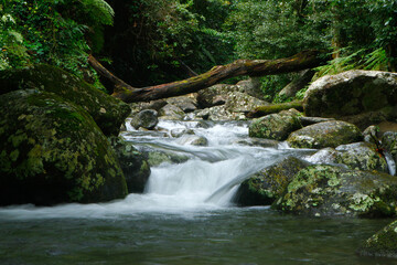 Waterfall in Lamington National Park