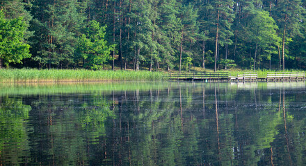 Lake in the Forest. Still lake. Summer. Peaceful Landscape