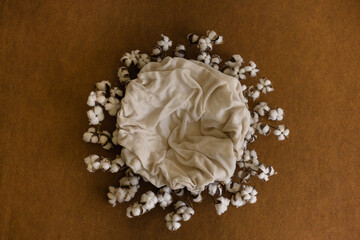 brown cotton nest on a background. Digital backdrop for newborn and baby photography.	