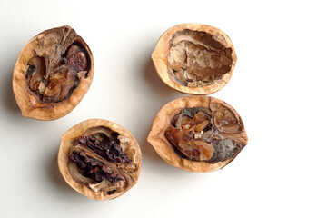 a spoiled walnut on a white background is dangerous for health, you can not eat