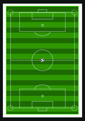foot ball playground. football field with grass 