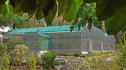 Green house for plant growing in New Delhi India.