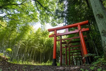 Foto op Plexiglas 稲荷神社の鳥居 © yutaka