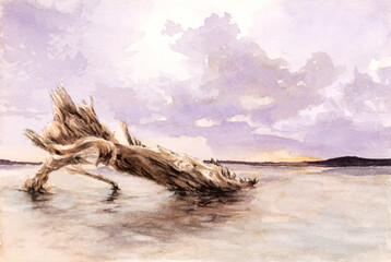 Dead tree trunk on a beach. Watercolor on paper.