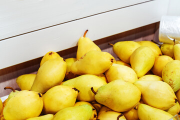 Yellow pears on the counter in the store. Trade in fruits in the trading network and in the market. Close-up