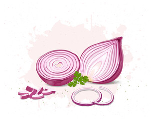 Half piece of Onion vector illustration with pieces with green coriander leaves