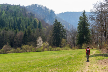 Fototapeta na wymiar Wandern im Donautal