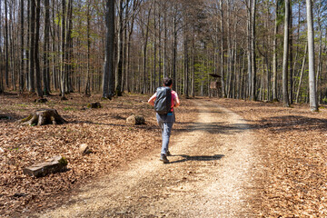 Obraz premium Wandern im Donautal