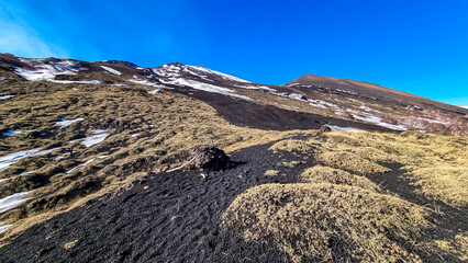 Yellow golden dry grass on brown dark volcanic sand, bare terrain. Scenic view on volcano mount...