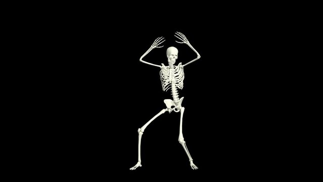 Skeleton Dancing 3D Animation.
You will get the Super Realistic 3D Animation dance of Skeleton.
