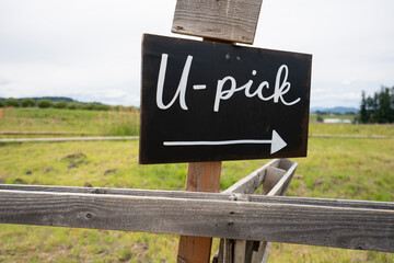 Closeup of the U-Pick sign at a berry farm during harvest season in summertime. © Tada Images