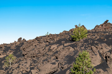 Solidified lava, ash, pumice fields on erupted Sartorio crater. Landscape with dark volcanic sand...