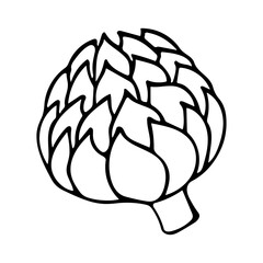 Vector Artishokeline doodle art illustration in sketch style for posters, recipe, culinary design, easter design, greeting cards. Isolated on white, packing
