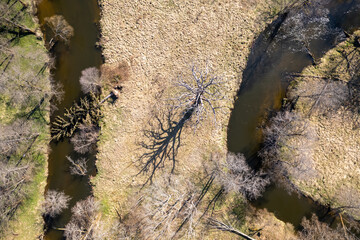 River, forest, natural environment from a bird's eye view in the morning. Low flying under trees, wildlife and nature in beautiful weather conditions.