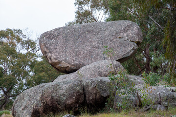 Huge Balancing Boulder Rock in Australian Forest