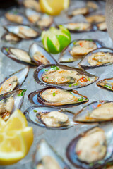 Mussels in ice with lime. Close photo