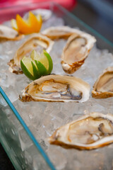 Oysters in ice with lime