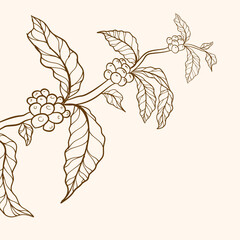 Fototapeta premium hand drawn coffee tree with branch, leaf and beans, coffee tree illustration, branch of coffee, leaf