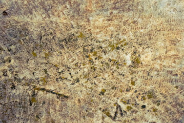 Part of a stone Wall, for background or texture. Surface of a stone Wall. Copy Space