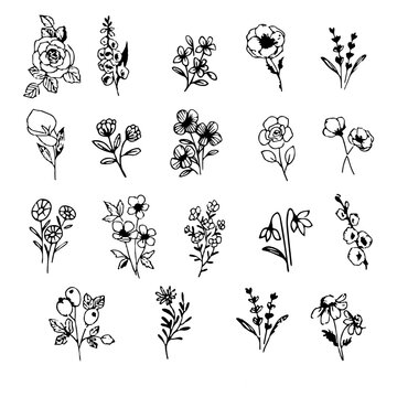 handdrawn flower doodles