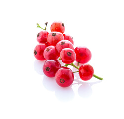 Ripe currant isolated.