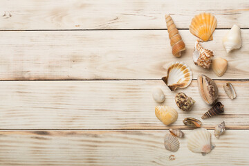 Sea shells on wooden background, top view. Summer concept