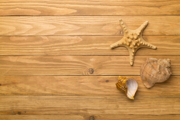 Fototapeta na wymiar Sea shells on wooden background, top view. Summer concept