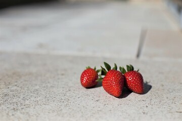 frische Erdbeeren auf steinigem boden
