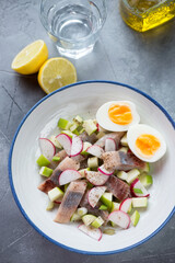 Salad with herring, apple, radish and chicken egg served in a white plate, above view on a grey concrete background, vertical shot
