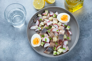 Grey plate with herring fillet, chopped radish and apple salad, high angle view on a light-blue stone background, studio shot