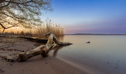 A cold morning at the Müggelsee in Berlin.