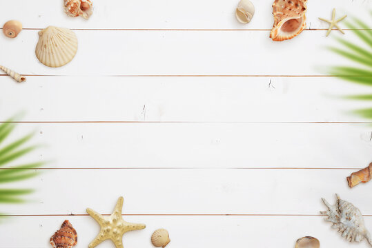 Tropical travel composition with copy space on white wooden surface. Shells and palm leaves beside. Top view, flat lay