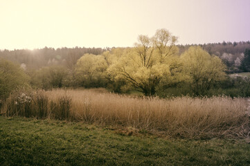 Valley in golden light