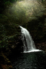 waterfall in the forest