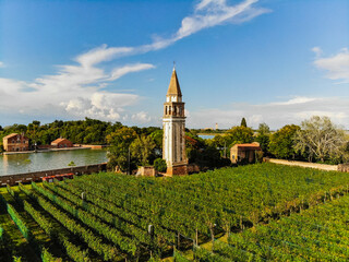 Fototapeta na wymiar winery vineyards on a small island in Venice, Italy and bell tower 