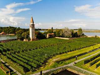 winery vineyards on a small island in Venice, Italy and bell tower 