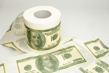 Rolls of bank notes toilet paper on white background