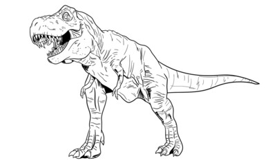Tyrannosaurs Rex or T-Rex, Dinosaurs prehistoric creature. Line art illustration suitable for element, children coloring book etc.