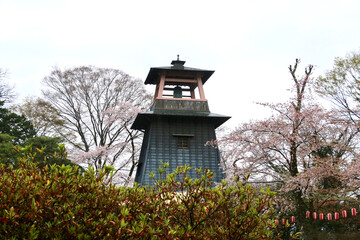 Fototapeta premium 沼田城跡（群馬県・沼田市）