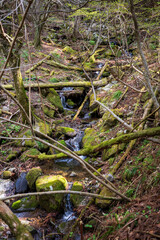 日本の岡山県の那岐山の美しい風景