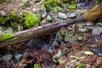 日本の岡山県の那岐山の美しい風景