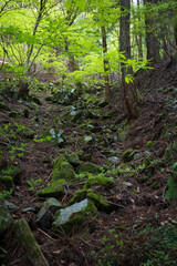 日本の岡山県の那岐山の美しい風景
