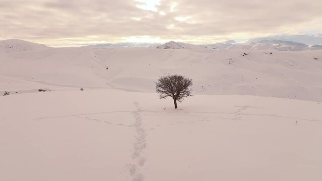Winter Season in the Ergan Ski Centre Drone Video, Erzincan City, Turkey