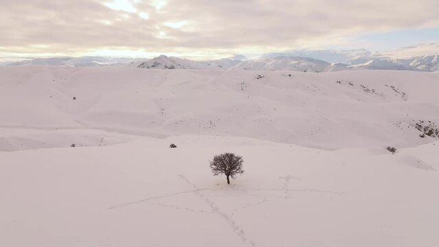 Winter Season in the Ergan Ski Centre Drone Video, Erzincan City, Turkey