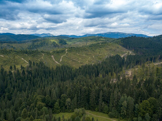 Green mountains of Ukrainian Carpathians in summer. Coniferous trees on the slopes. Aerial drone view.