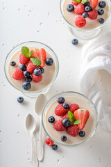 Tasty and homemade Panna Cotta made of gelatin and cream.