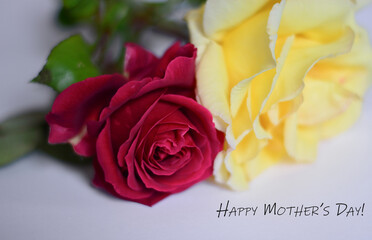 a red and a yellow rose for all the mothers of the world