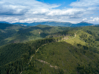 Green mountains of Ukrainian Carpathians in summer. Coniferous trees on the slopes. Aerial drone view.