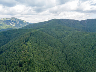 Green slopes of Ukrainian Carpathian mountains in summer. Cloudy morning, low clouds. Aerial drone view.