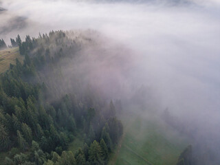 Morning mist in Ukrainian Carpathian mountains. Aerial drone view.
